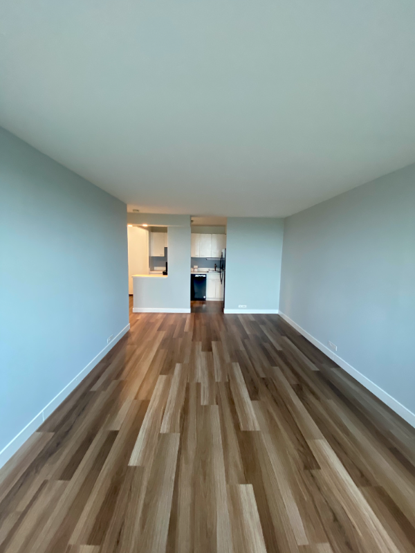 1110 S Michigan Ave - Photo 5 of 13