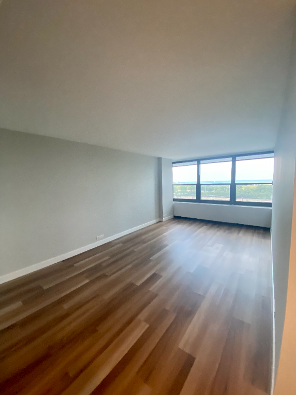 1110 S Michigan Ave - Photo 6 of 13