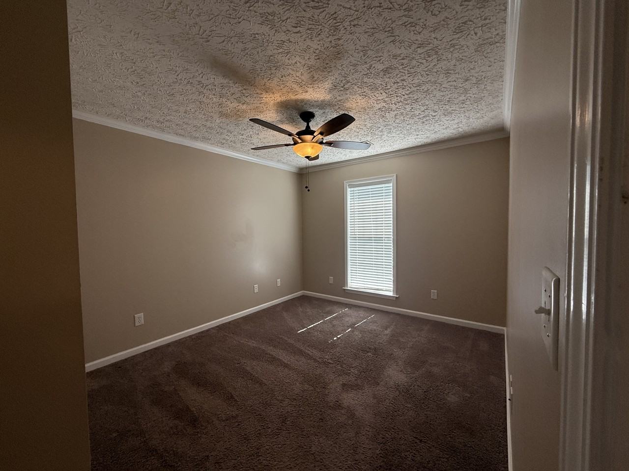 8913 Laney Ln - Photo 7 of 12