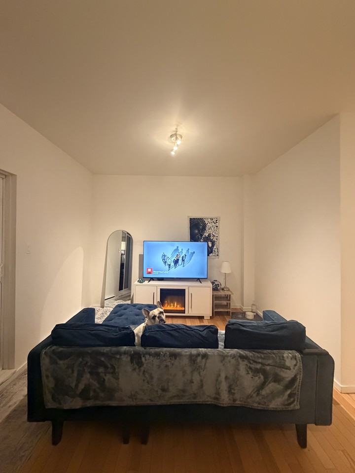 2507 Rue Sainte-Catherine Est - Photo 7 of 19