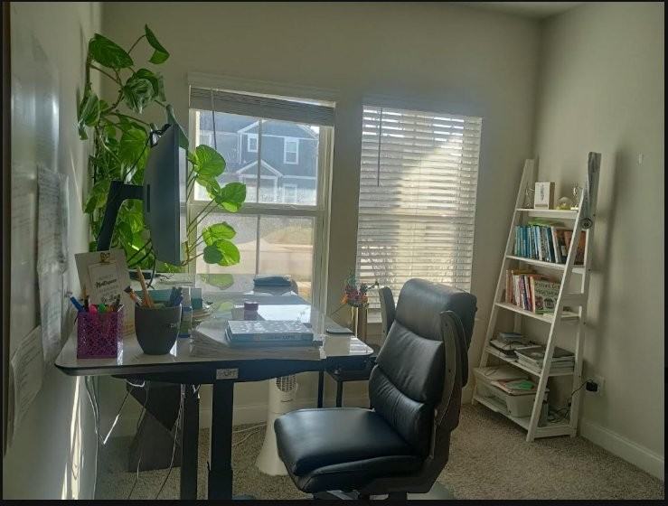 1092 Holland Ridge Way - Photo 3 of 19