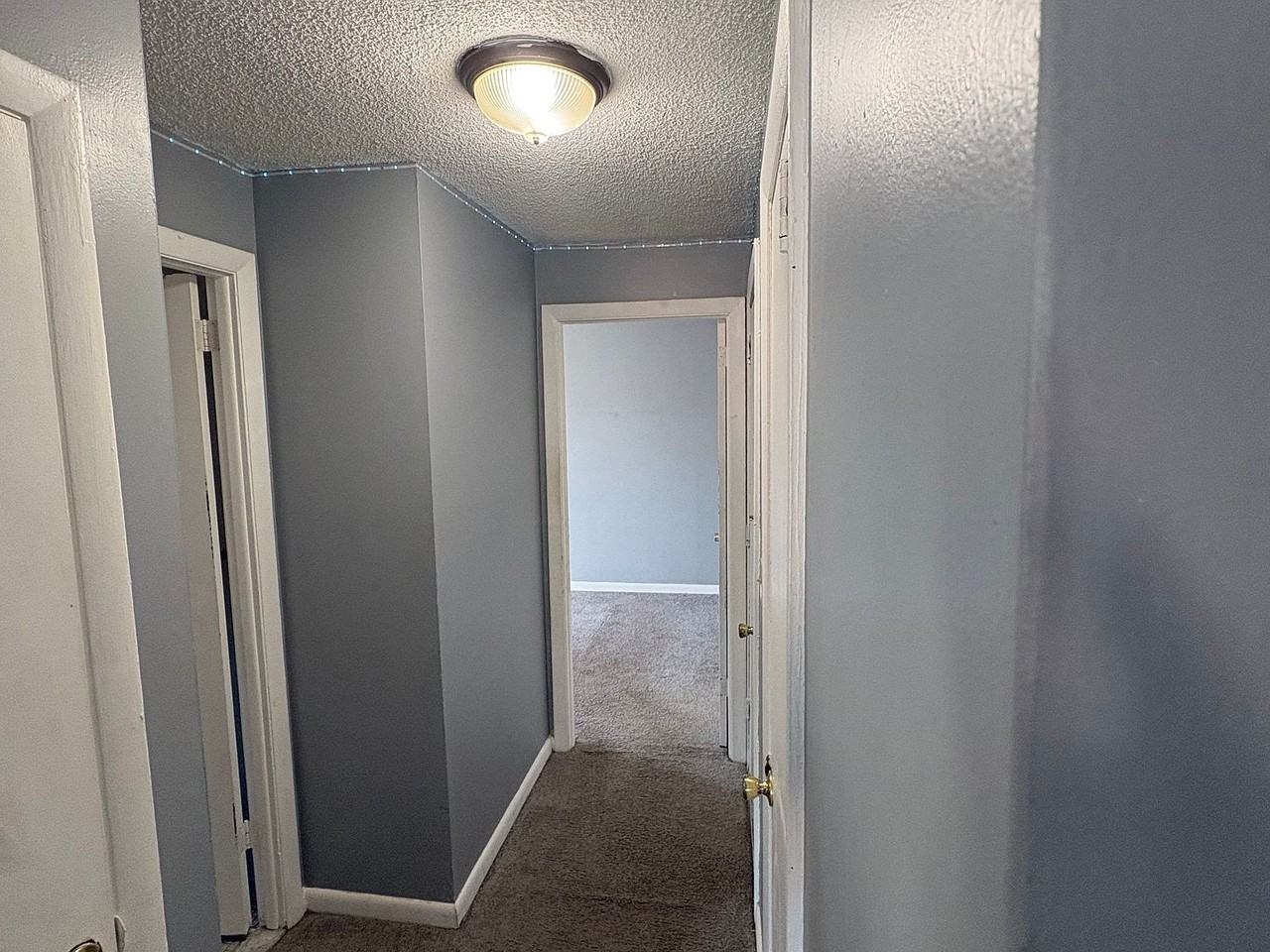 65 Amity Street - Photo 5 of 12