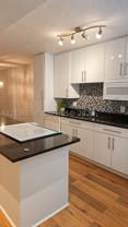 250 Jacaranda Dr #711 - Photo 1 of 1