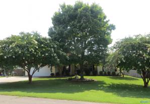 105 Royalty Ct - Photo 1 of 1