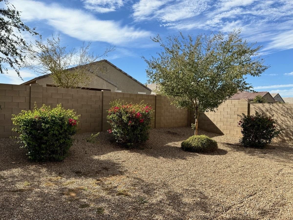 41231 W Crane Dr - Photo 6 of 8