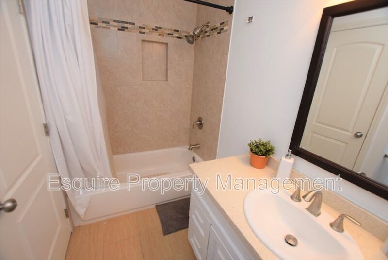 1127 Ibex Sq - Photo 7 of 20