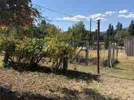 featured image of 817 Ream Ave