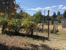 817 Ream Ave - Photo 1 of 1
