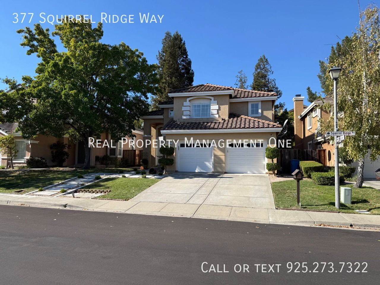 377 Squirrel Ridge Way - Photo 3 of 33
