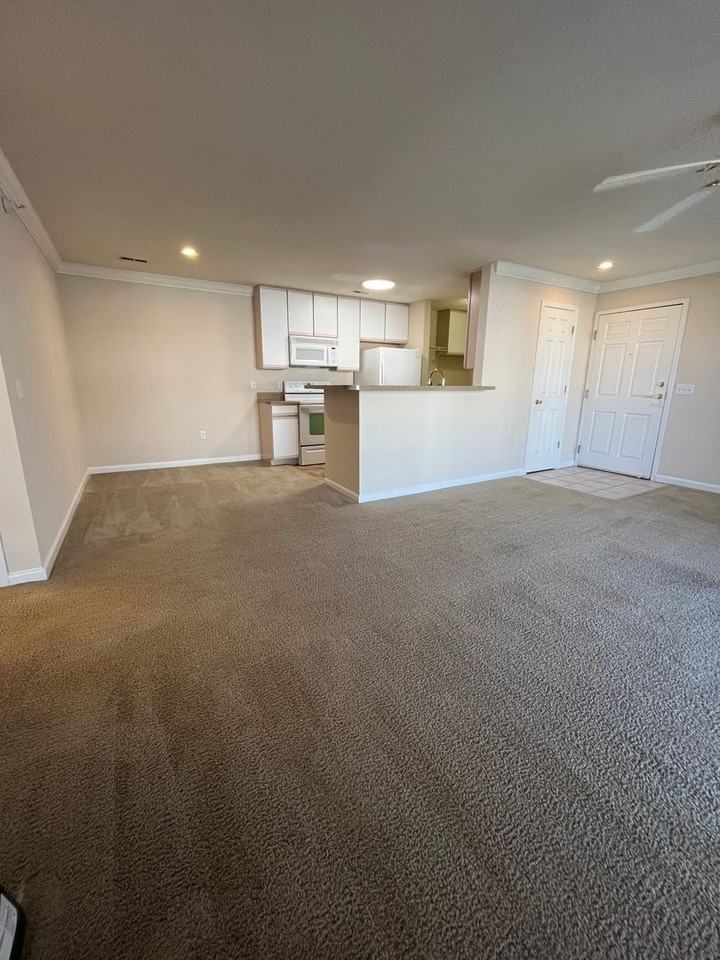Hillsborough Pointe Apartments - Photo 3 of 50