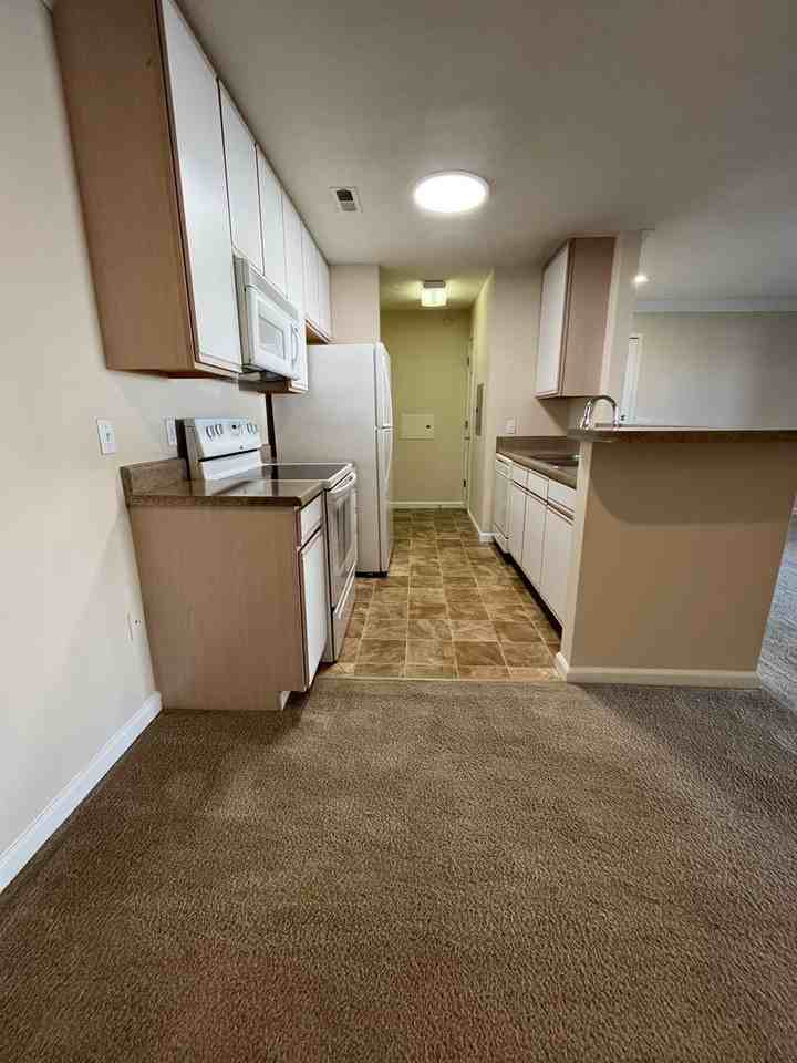 Hillsborough Pointe Apartments - Photo 4 of 50