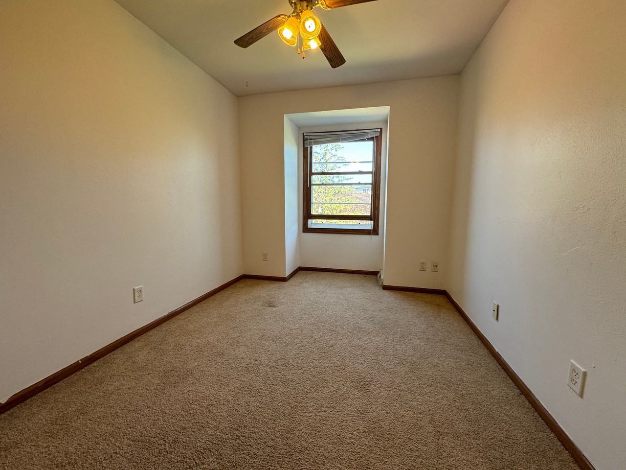 1942 Camden Ln - Photo 7 of 10