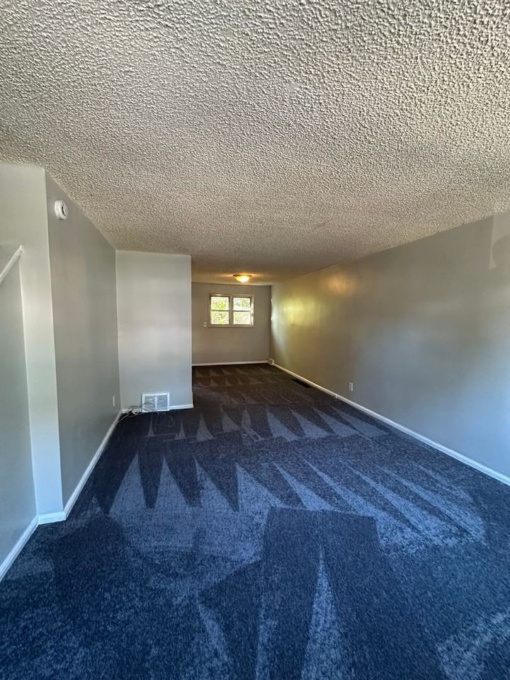 310 Fern St - Photo 2 of 13