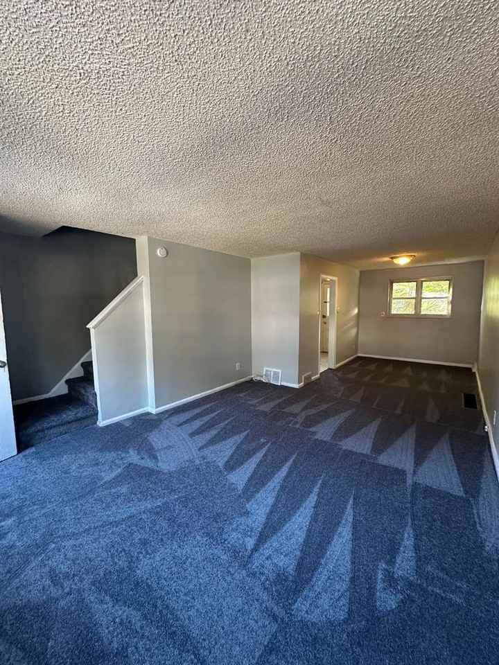 310 Fern St - Photo 3 of 13