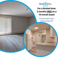featured image of 11615 28 Ave Nw