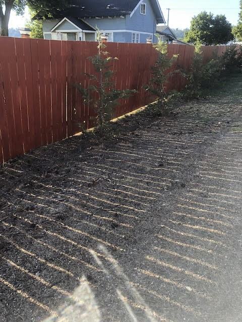 13615 E. Trent Ave - Photo 3 of 19