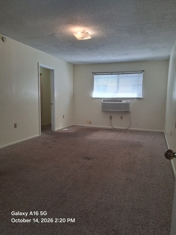 3139 Addison St #7 - Photo 5 of 12
