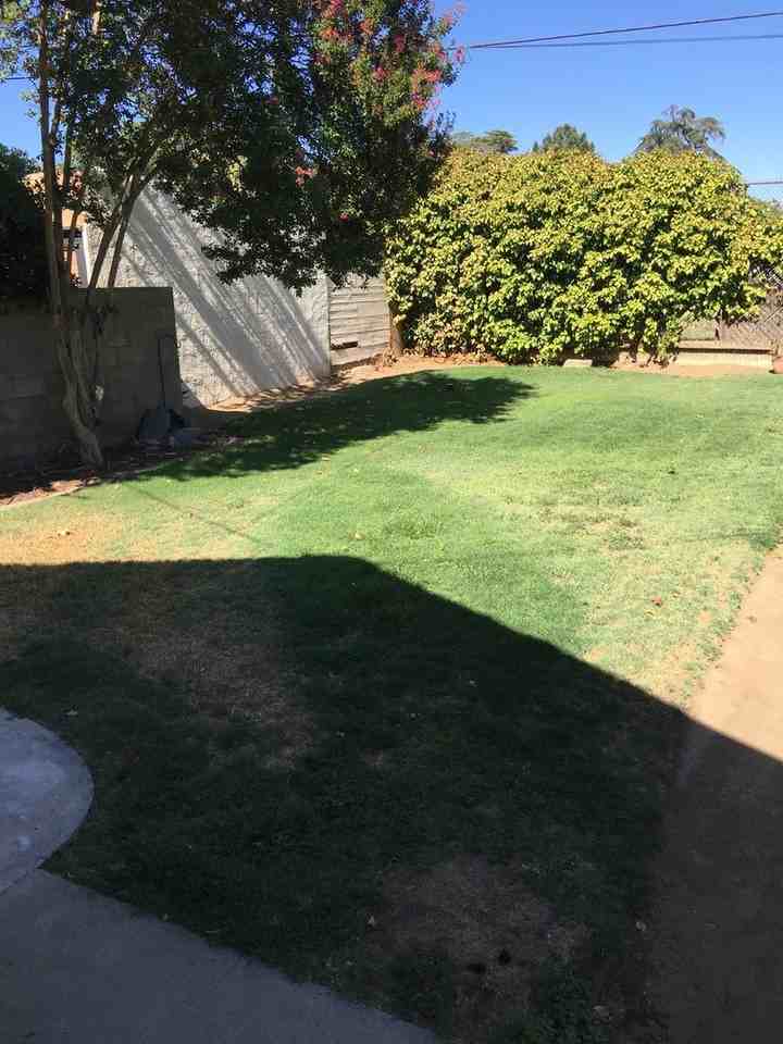 1570 N Poplar Ave - Photo 5 of 5
