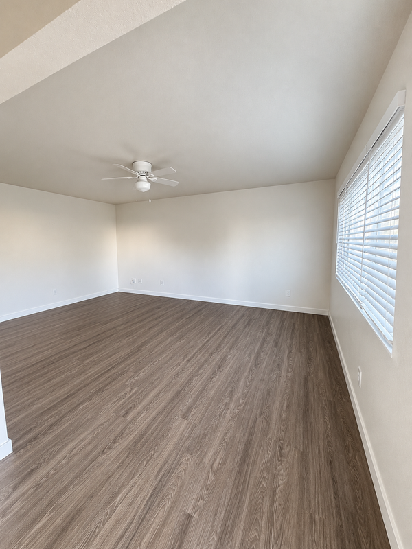 438 Delaware St - Photo 4 of 10