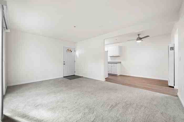 445 S E St #1 - Photo 7 of 29