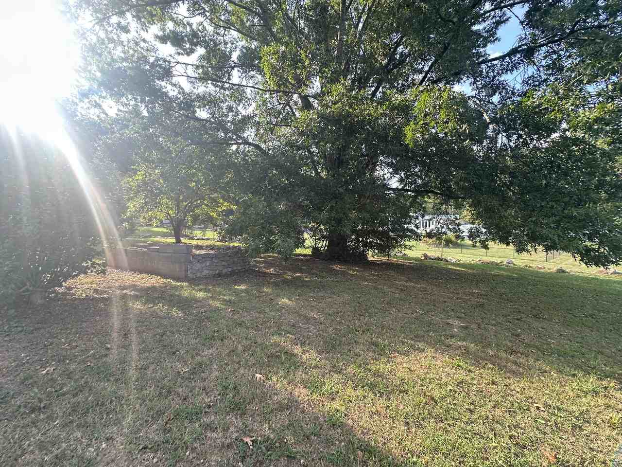 173 Price Rd #NA - Photo 7 of 20