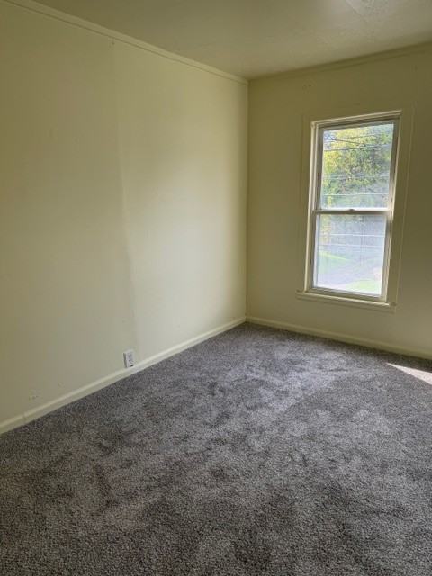 230 Fayette St #1 - Photo 6 of 18
