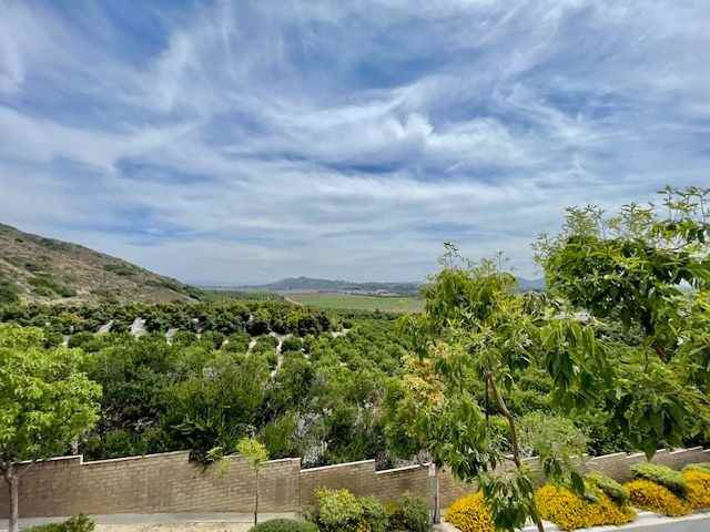 2803 Antonio Dr - Photo 7 of 15