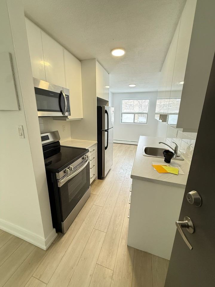 model - 1276 Rae Street - Photo 3 of 23