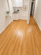 model - 4105 Parthenais - Photo 1 of 1