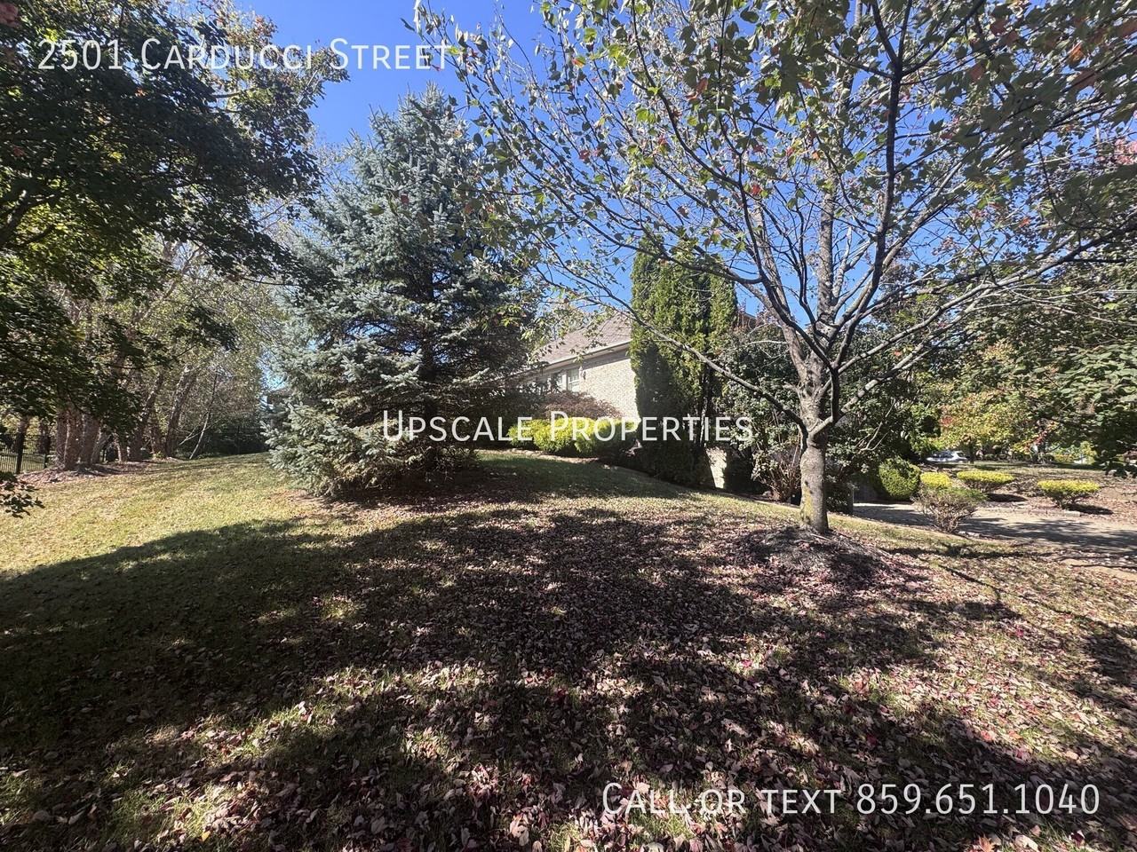 2501 Carducci St - Photo 6 of 43