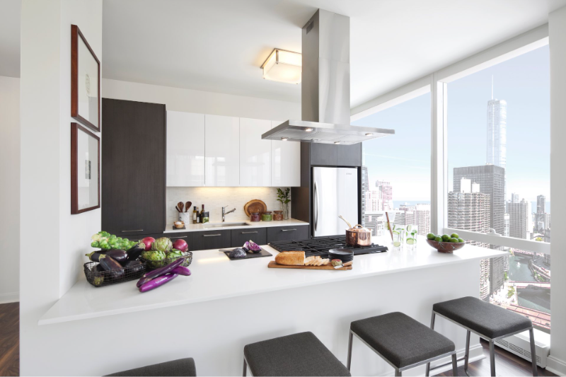 226 N Clark St #1815 - Photo 3 of 20