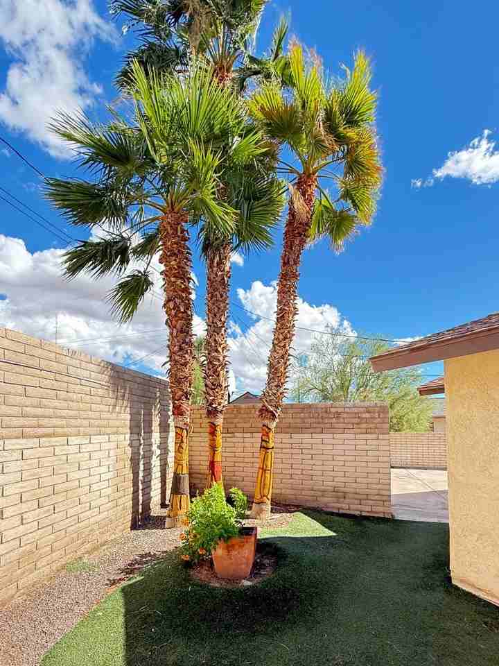 3217 Newport Ln - Photo 6 of 29