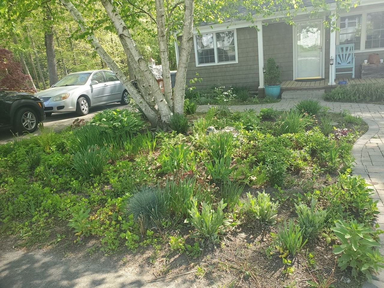 71 Oakwood Rd - Photo 2 of 33