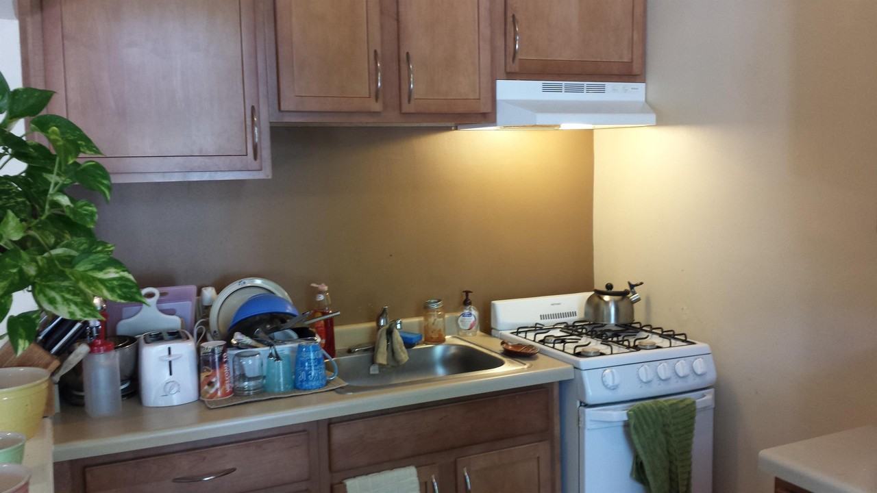 29 Langdon Street - Photo 2 of 22
