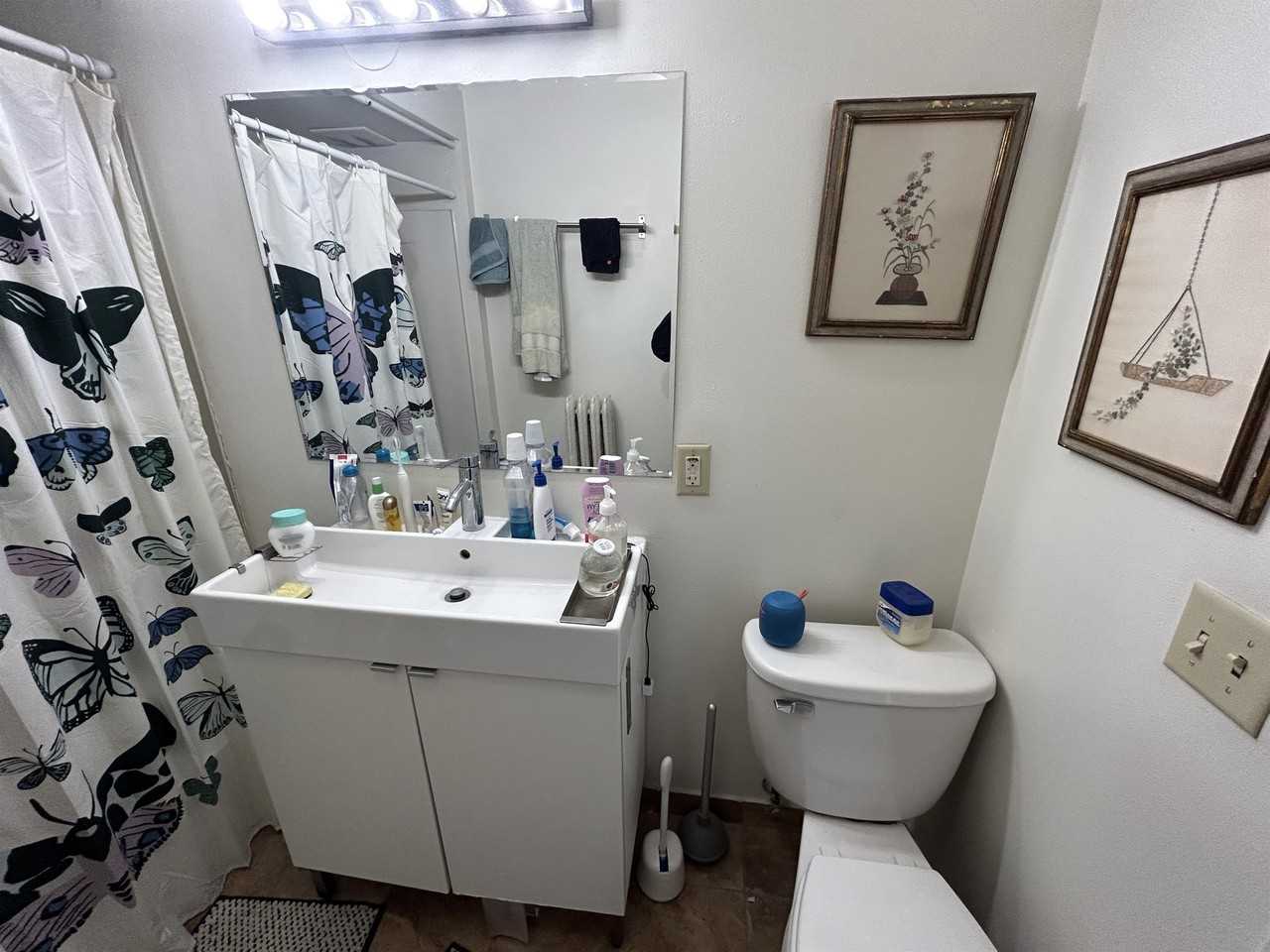 29 Langdon Street - Photo 6 of 22