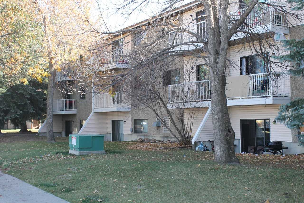 3310 23rd Avenue South - Photo 2 of 2