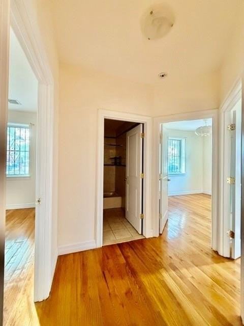 2531 W 15th St #1A1 - Photo 6 of 15