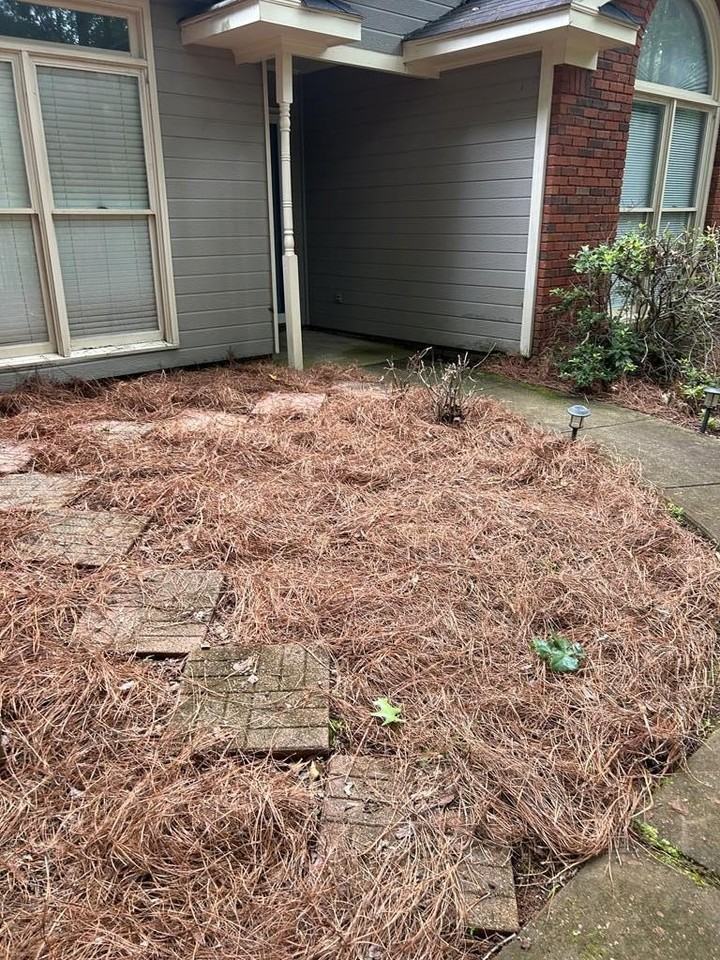 562 Evergreen Dr - Photo 2 of 17