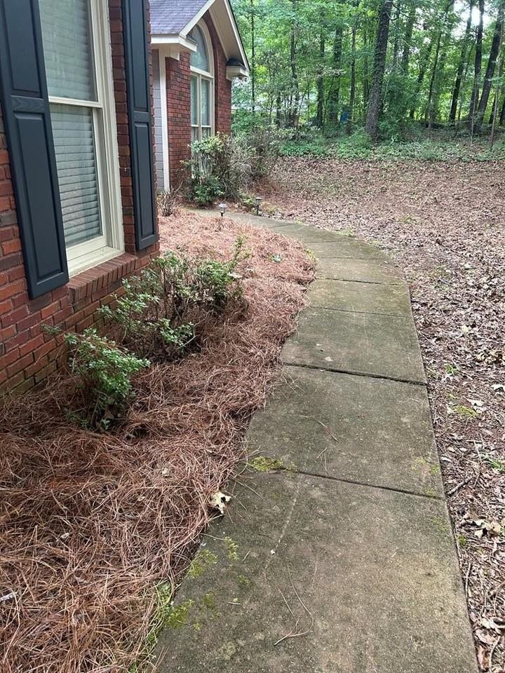 562 Evergreen Dr - Photo 3 of 17