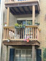 featured image of 45260 Keding St #204