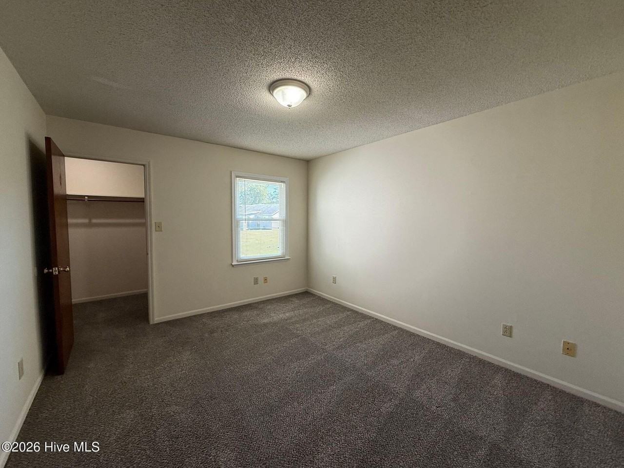 223 Appaloosa Dr - Photo 4 of 6