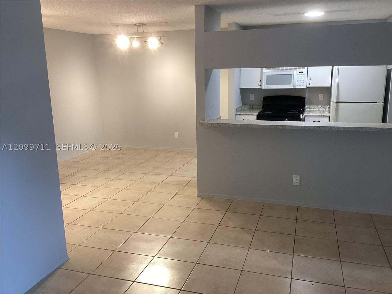 10510 Sw 157th Ct #203 - Photo 3 of 16