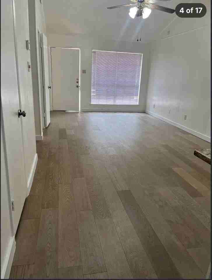 1803 Romack Ct - Photo 4 of 14