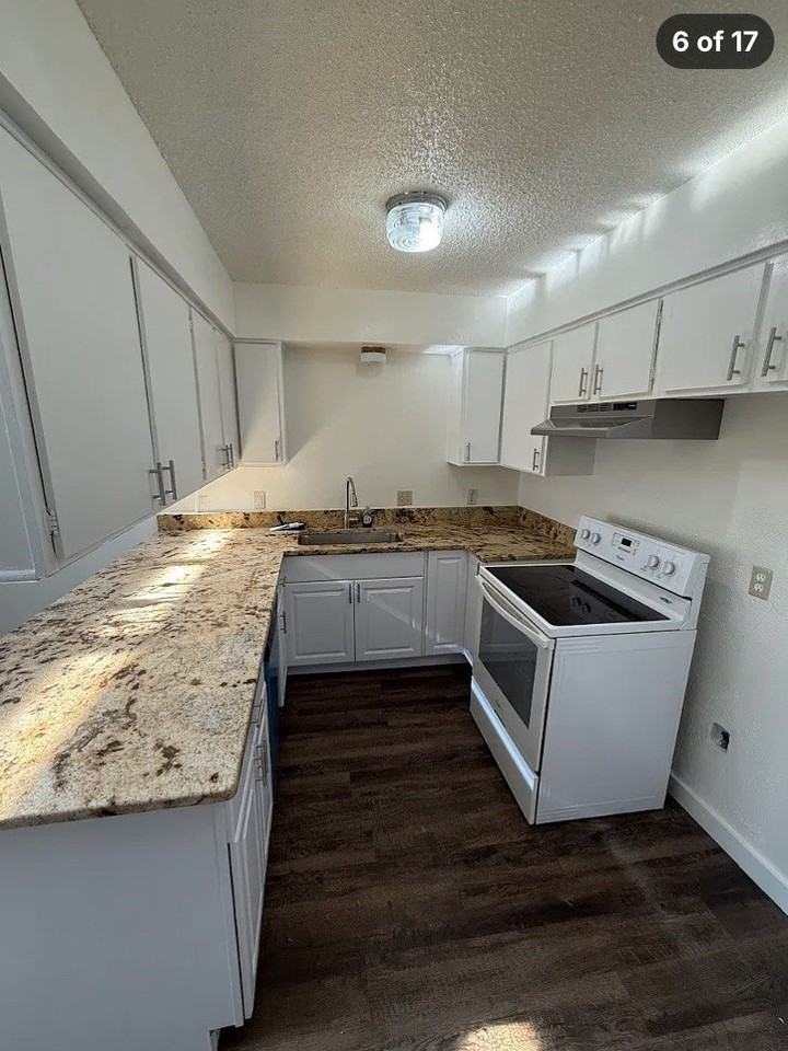 1803 Romack Ct - Photo 6 of 14