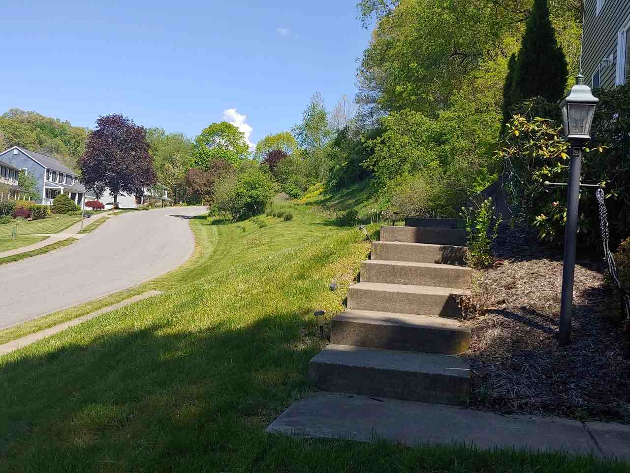 10006 Oakridge Dr #NA - Photo 3 of 20