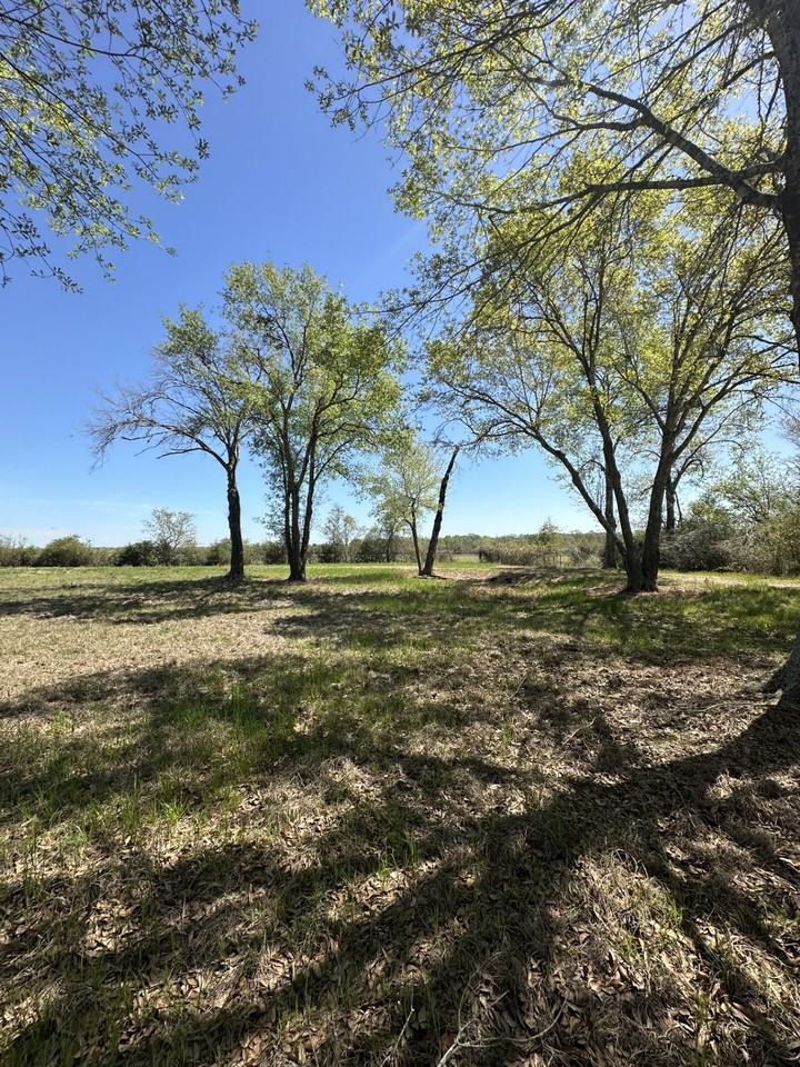 38003 Farm To Market Road - Photo 3 of 20