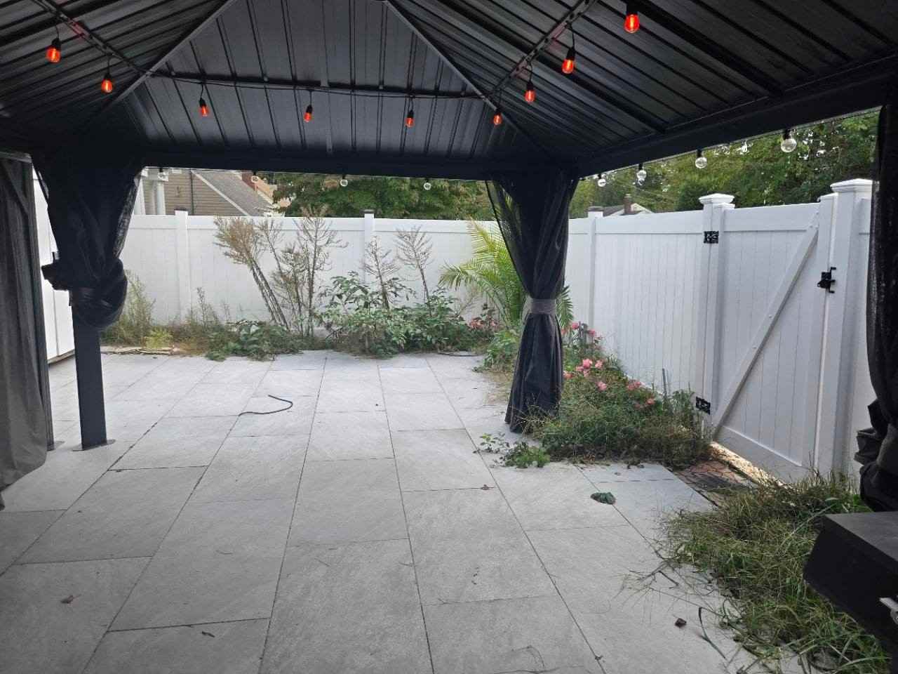 40 Derby Ave #1 - Photo 3 of 20