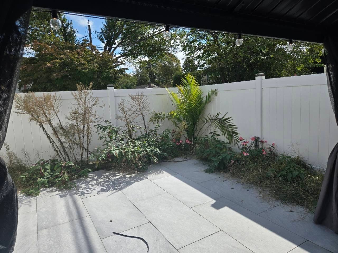 40 Derby Ave #1 - Photo 4 of 20