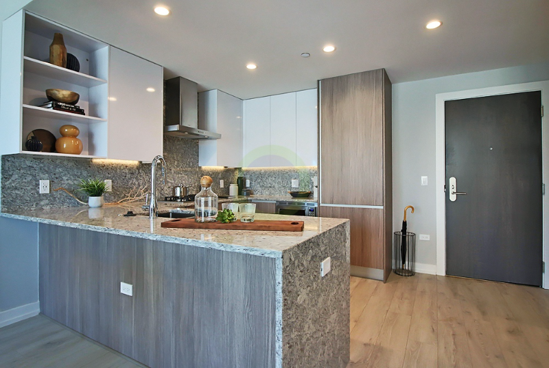 1147 N Wells St - Photo 2 of 21