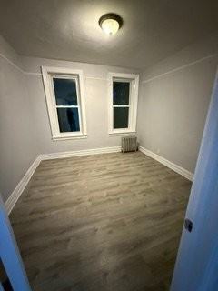 688 New Lots Ave #3F - Photo 4 of 11